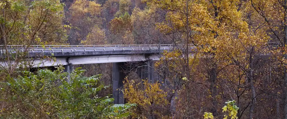 Autumn color along the Blue Ridge Parkway in North Carolina