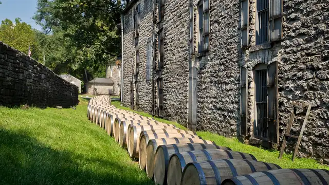 Rows of freshly filled oak bourbon barrels lined up outside a stone rickhouse at a Kentucky distillery
