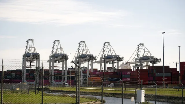 A row of tall ship-to-shore container cranes above stacked shipping containers at the Port of Savannah
